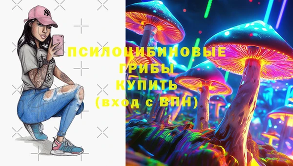 ешки Покачи