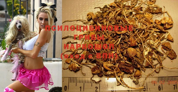 кокс Абдулино