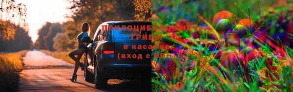 эйфоретик Покров