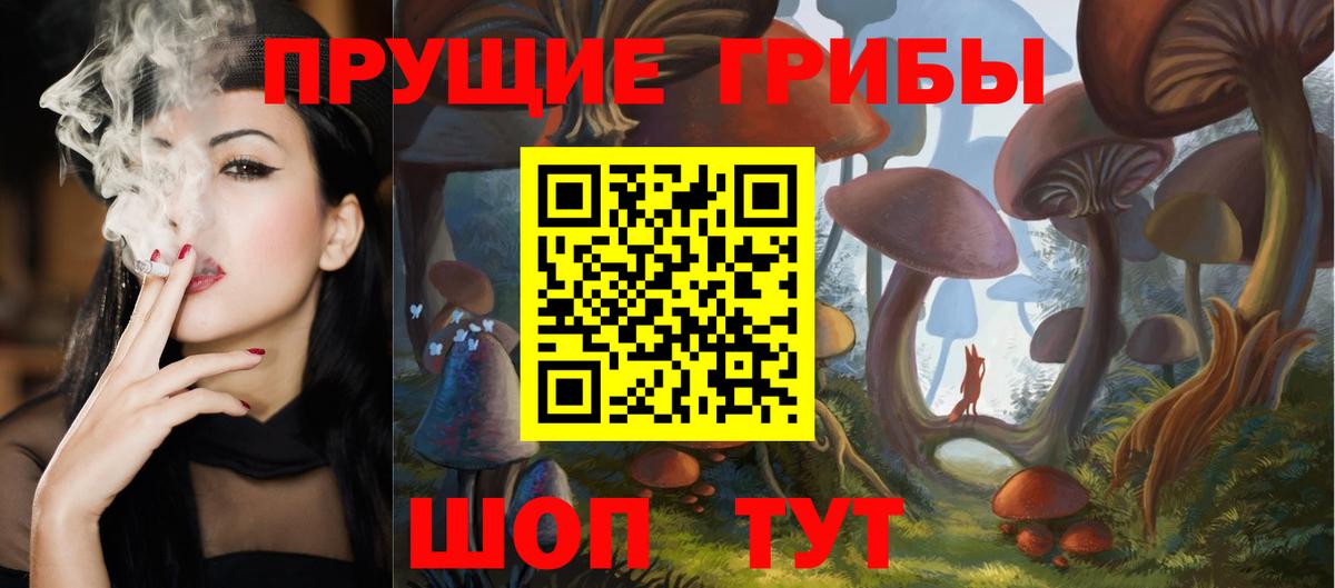Мурино  Галлюциногенные грибы мицелий  купить наркотики сайты  Вход с VPN 